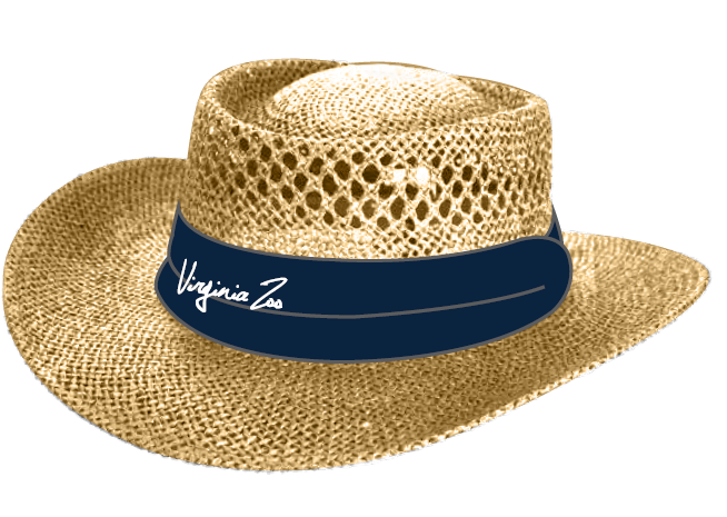 Clothing & Hats