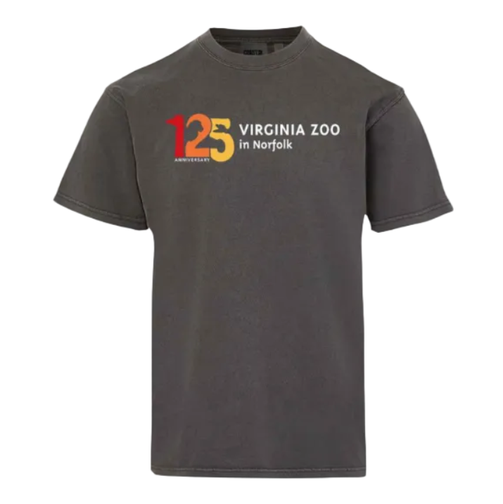 125th Anniversary