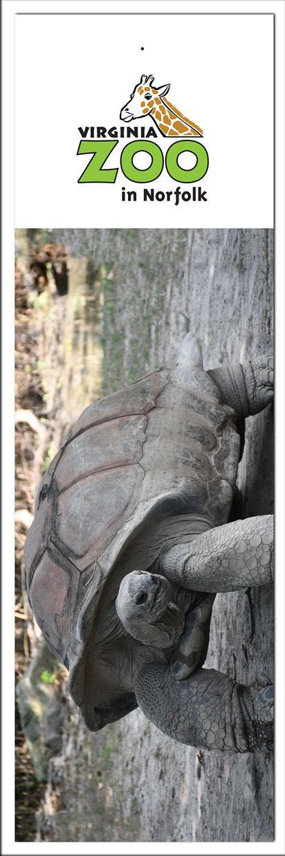 Zoo Bookmark