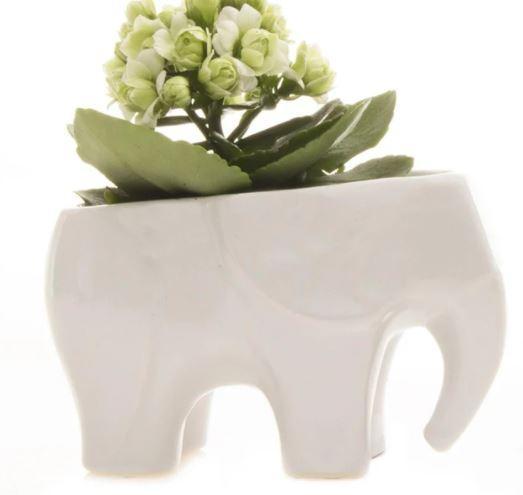 Elephant Planter