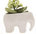 Elephant Planter