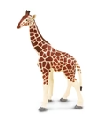 Safari LTD Animals