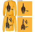 Giraffe Classic Long Sleeve