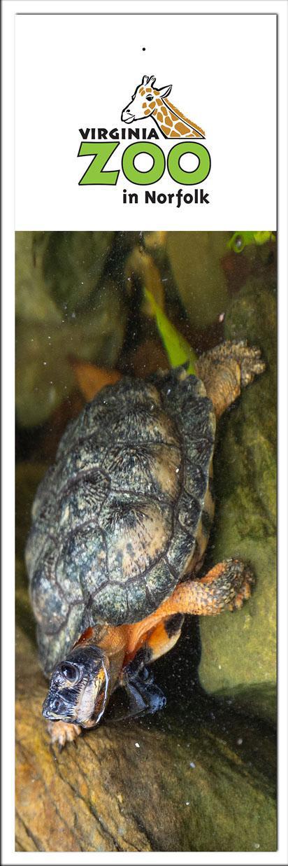 Zoo Bookmark