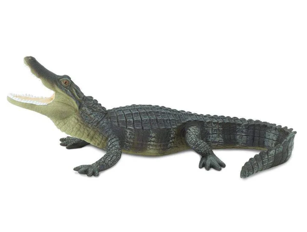 Safari LTD Animals