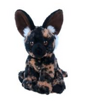 African Wild Painted Dogs