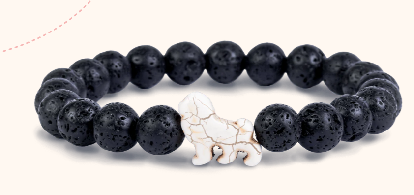 Animal Tracking Bracelet