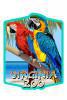 Animal Art Sticker SM