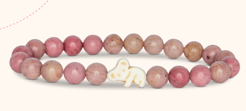 Animal Tracking Bracelet