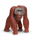 Safari LTD Animals