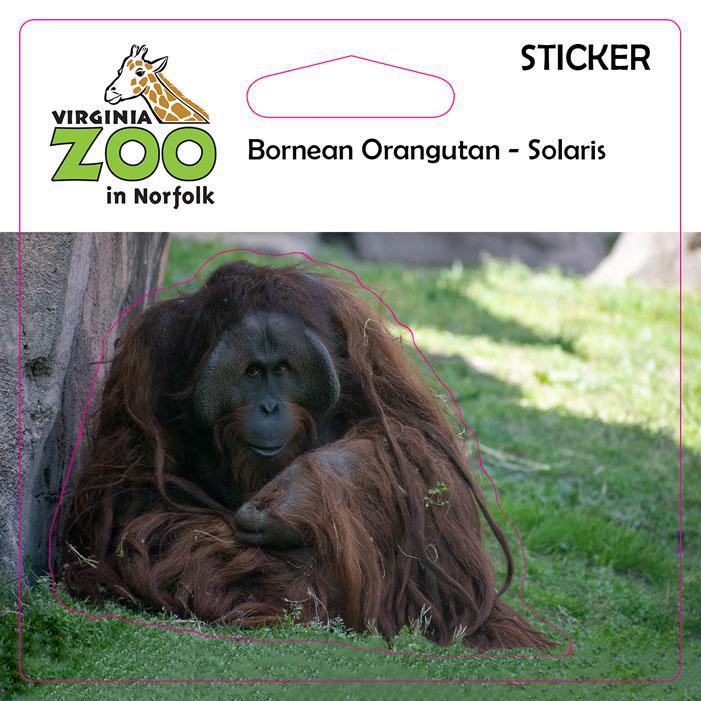 Zoo Sticker
