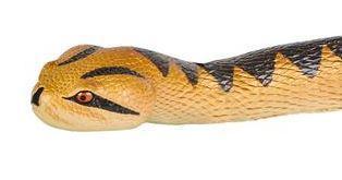 26" Poly Snake