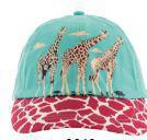 SJ Youth Hat