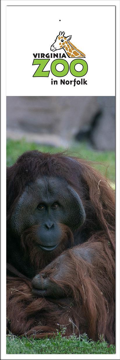 Zoo Bookmark