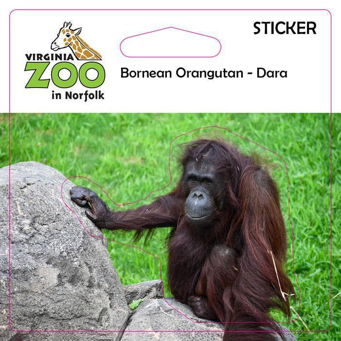 Zoo Sticker