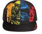 SJ Youth Hat