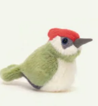 Birding