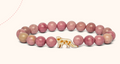 Animal Tracking Bracelet