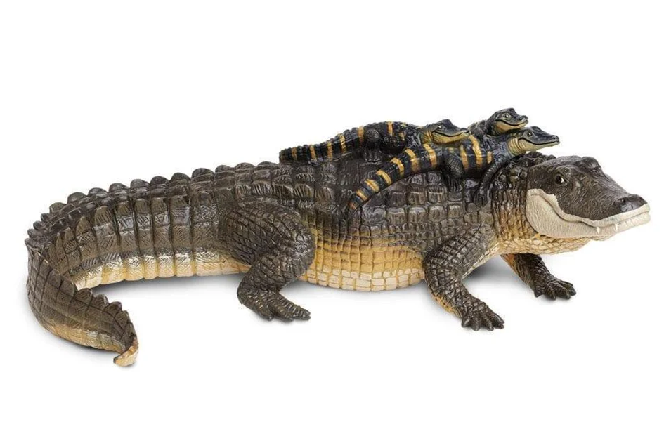 Safari LTD Animals