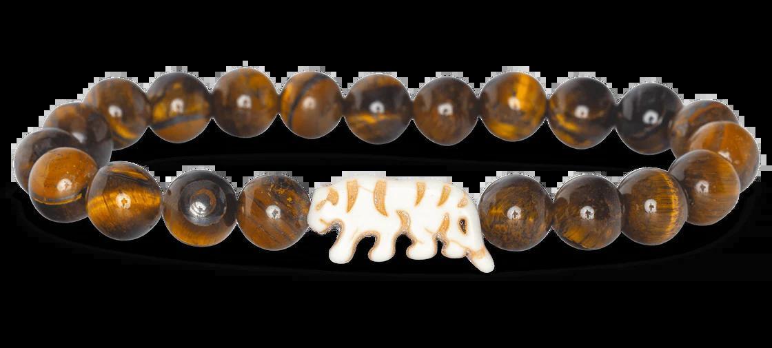 Animal Tracking Bracelet