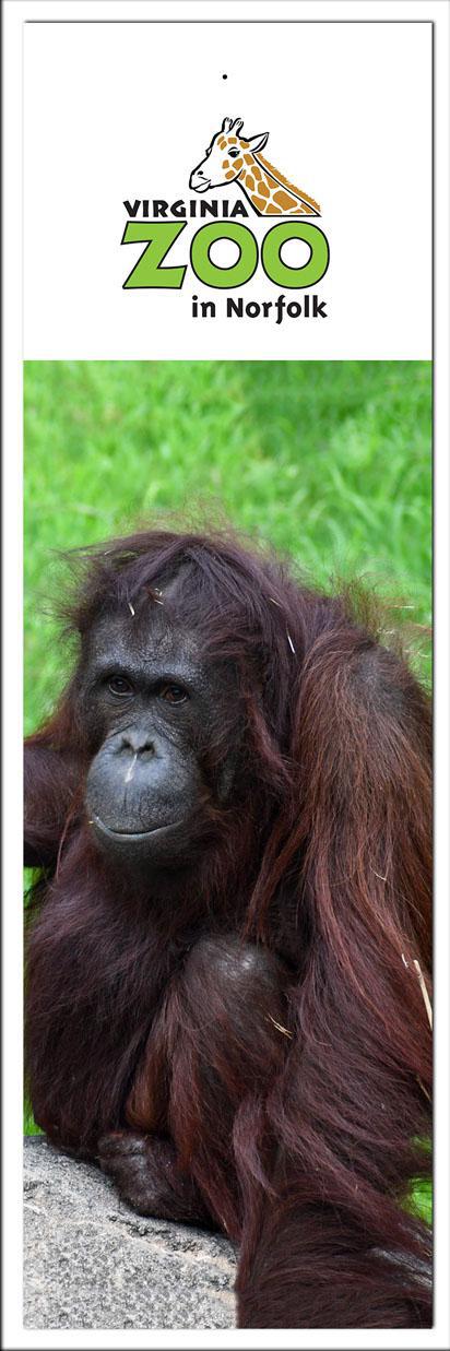 Zoo Bookmark