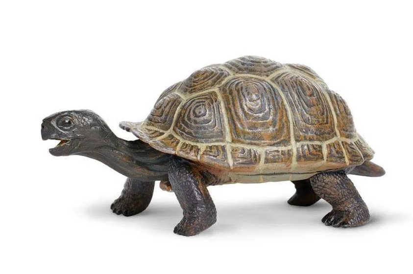 Safari LTD Animals