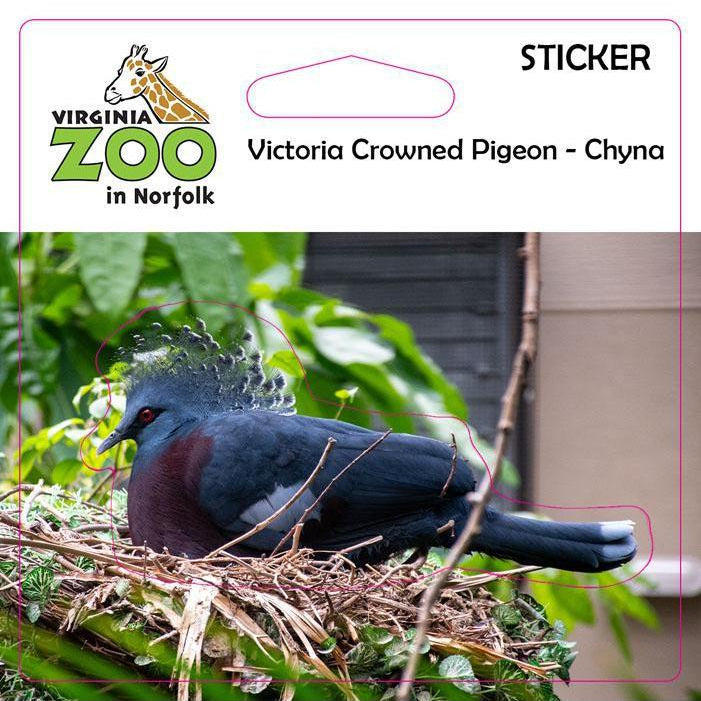 Zoo Sticker