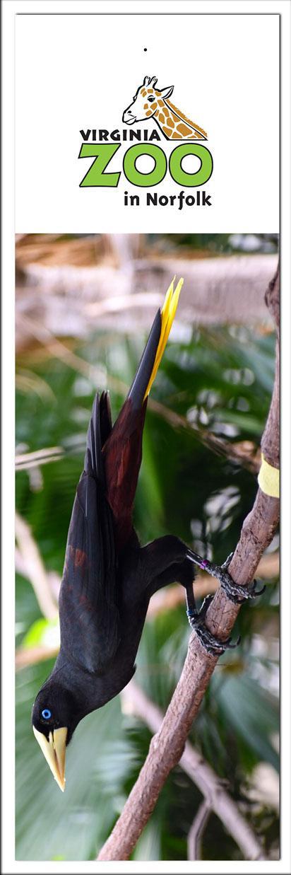 Zoo Bookmark