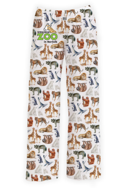 Brief Insanity Pants