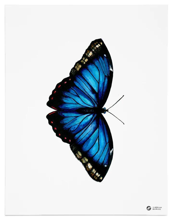 J6R6 8x10 Prints
