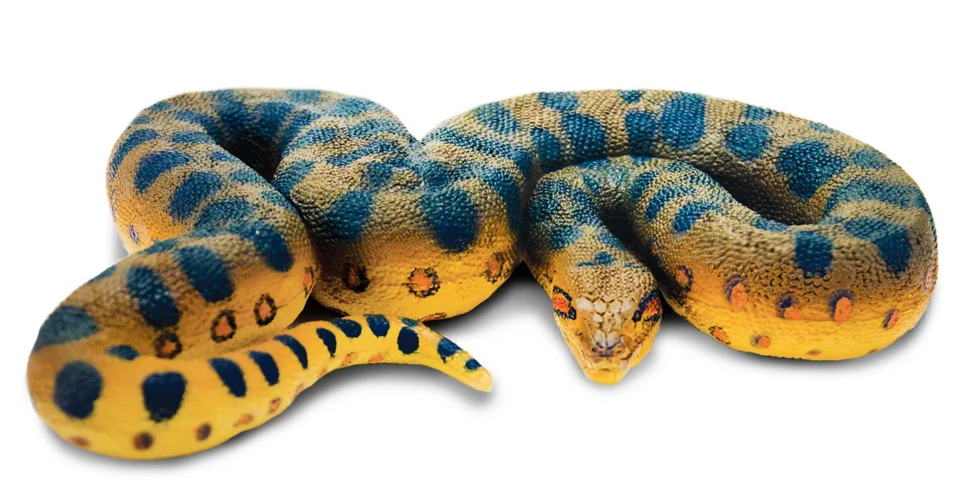 Safari LTD Animals