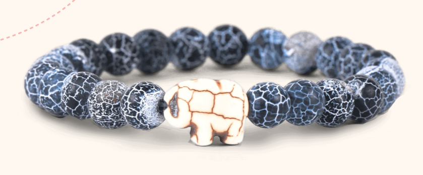Animal Tracking Bracelet