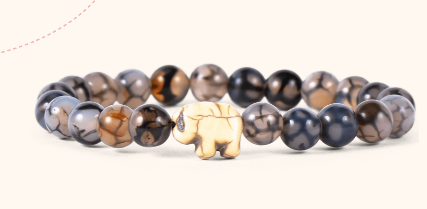 Animal Tracking Bracelet