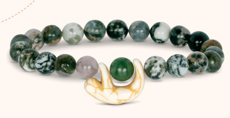 Animal Tracking Bracelet