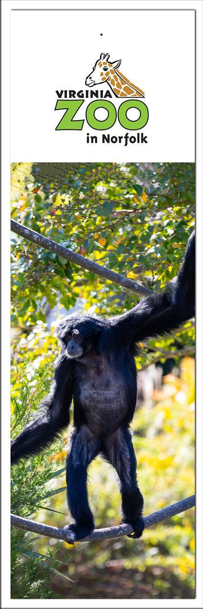 Zoo Bookmark