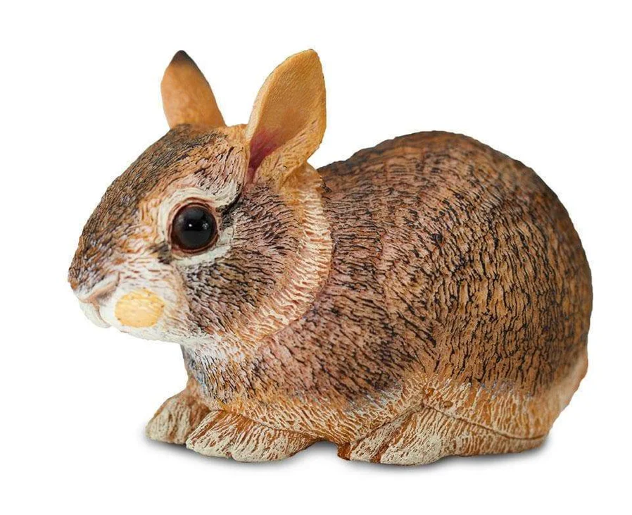 Safari LTD Animals
