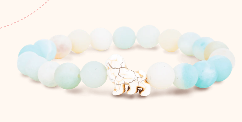Animal Tracking Bracelet