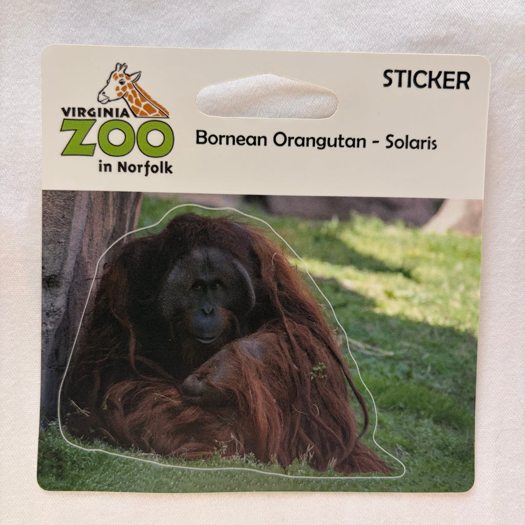 Zoo Sticker
