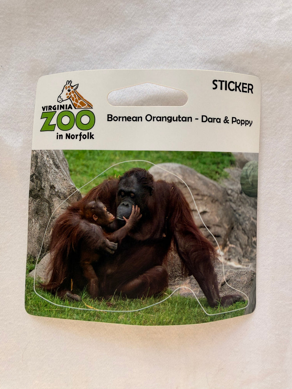 Zoo Sticker