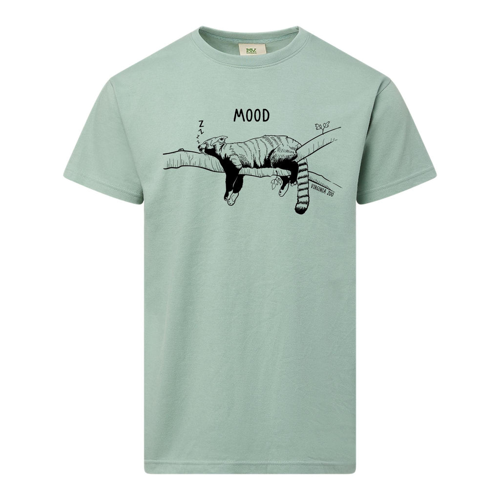 Red Panda Mood T-Shirt