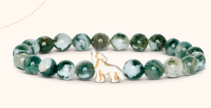 Animal Tracking Bracelet