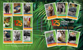 Trading Card Binder