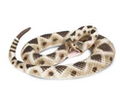 Safari LTD Animals