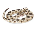 Safari LTD Animals