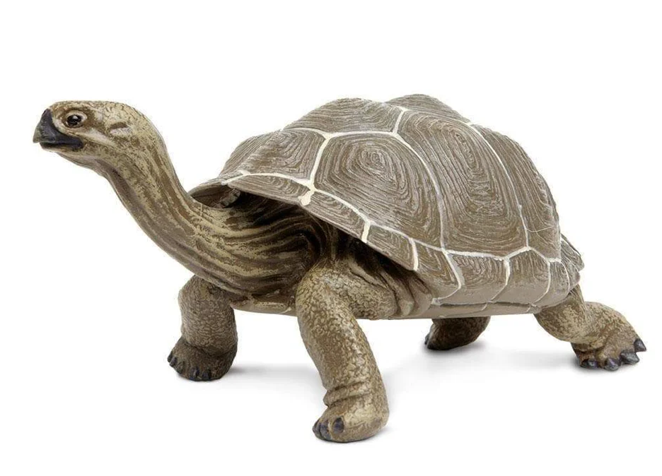 Safari LTD Animals