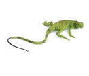 Safari LTD Animals