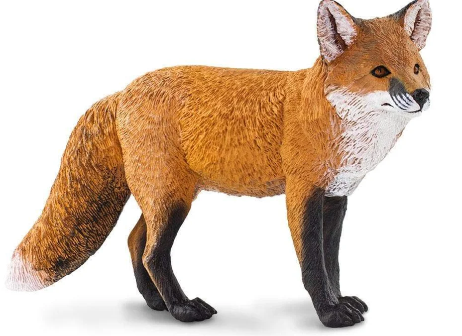 Safari LTD Animals