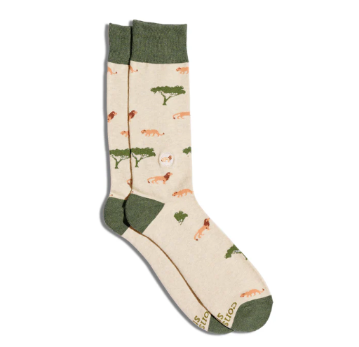 Conscious Step Adult