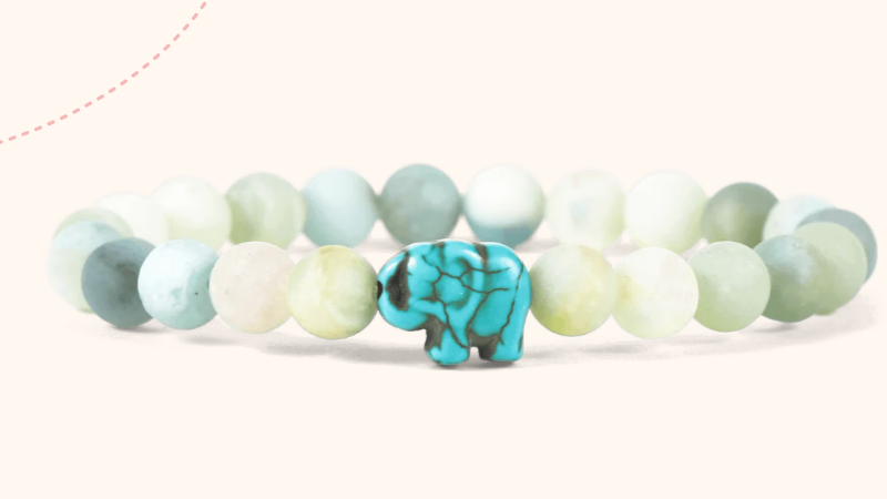 Animal Tracking Bracelet