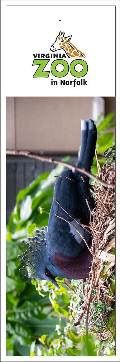 Zoo Bookmark